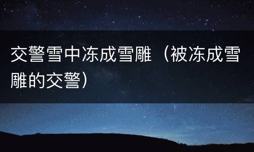 交警雪中冻成雪雕（被冻成雪雕的交警）