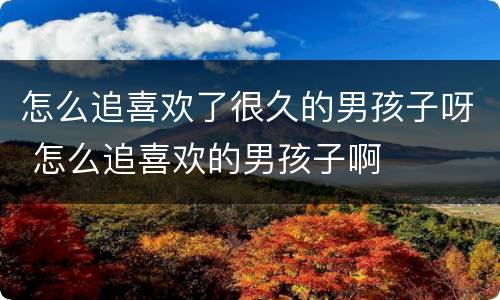 怎么追喜欢了很久的男孩子呀 怎么追喜欢的男孩子啊