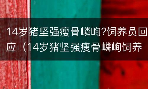 14岁猪坚强瘦骨嶙峋?饲养员回应（14岁猪坚强瘦骨嶙峋饲养员回应）