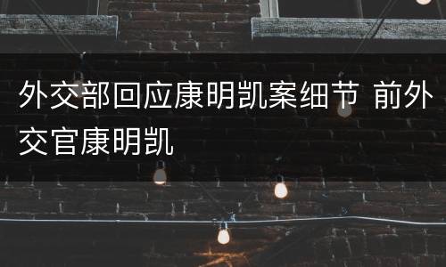 外交部回应康明凯案细节 前外交官康明凯