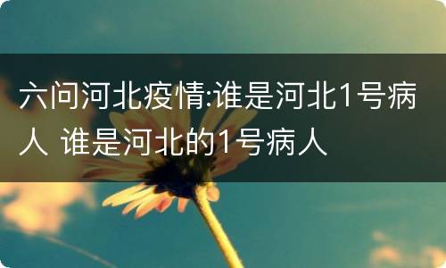 六问河北疫情:谁是河北1号病人 谁是河北的1号病人