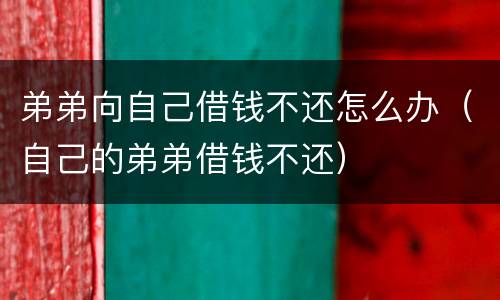 弟弟向自己借钱不还怎么办（自己的弟弟借钱不还）