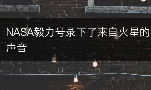 NASA毅力号录下了来自火星的声音