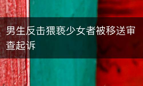 男生反击猥亵少女者被移送审查起诉