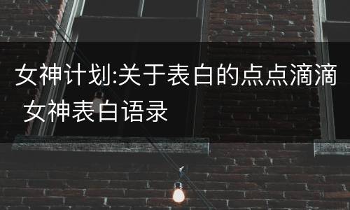 女神计划:关于表白的点点滴滴 女神表白语录