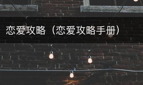 恋爱攻略（恋爱攻略手册）
