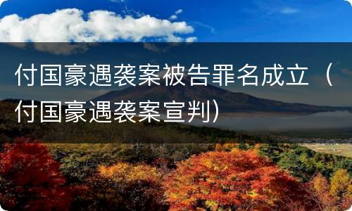 付国豪遇袭案被告罪名成立（付国豪遇袭案宣判）