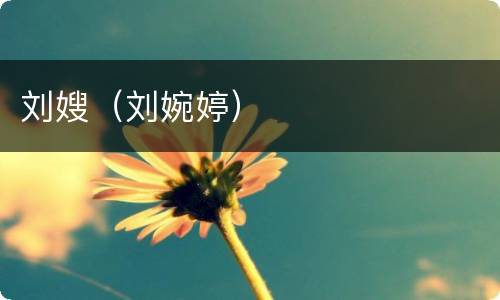刘嫂（刘婉婷）