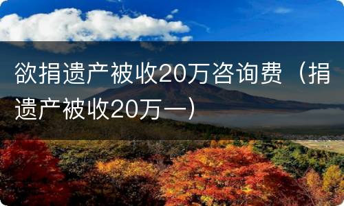 欲捐遗产被收20万咨询费（捐遗产被收20万一）