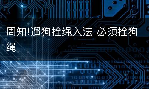 周知!遛狗拴绳入法 必须拴狗绳
