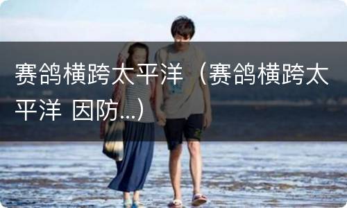 赛鸽横跨太平洋（赛鸽横跨太平洋 因防...）