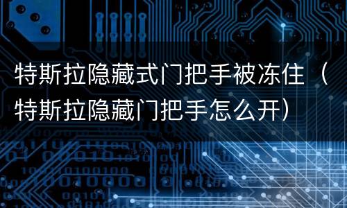 特斯拉隐藏式门把手被冻住（特斯拉隐藏门把手怎么开）