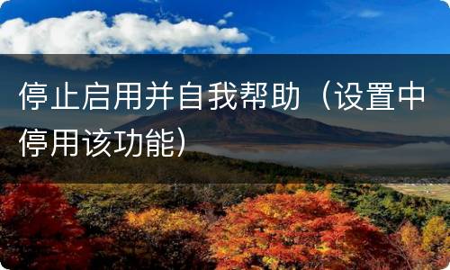 停止启用并自我帮助（设置中停用该功能）