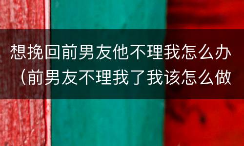 想挽回前男友他不理我怎么办（前男友不理我了我该怎么做）