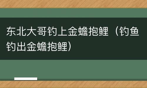 东北大哥钓上金蟾抱鲤（钓鱼钓出金蟾抱鲤）
