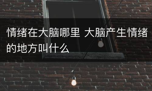 情绪在大脑哪里 大脑产生情绪的地方叫什么