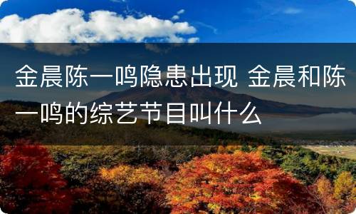 金晨陈一鸣隐患出现 金晨和陈一鸣的综艺节目叫什么