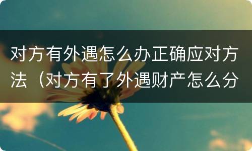 对方有外遇怎么办正确应对方法（对方有了外遇财产怎么分）