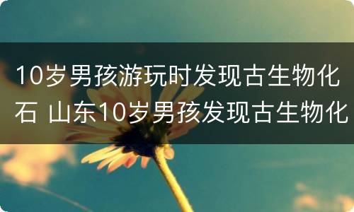 10岁男孩游玩时发现古生物化石 山东10岁男孩发现古生物化石