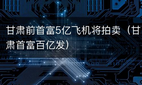 甘肃前首富5亿飞机将拍卖（甘肃首富百亿发）