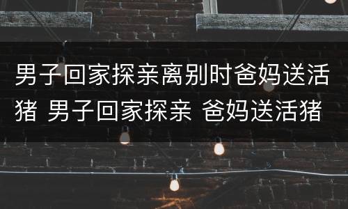 男子回家探亲离别时爸妈送活猪 男子回家探亲 爸妈送活猪