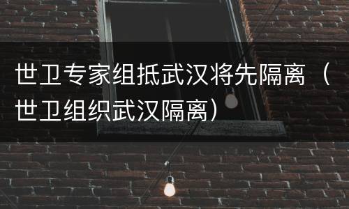 世卫专家组抵武汉将先隔离（世卫组织武汉隔离）