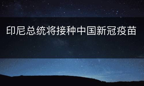 印尼总统将接种中国新冠疫苗