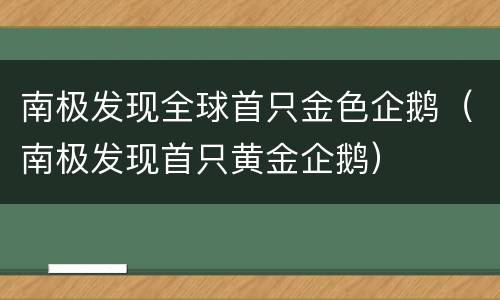 南极发现全球首只金色企鹅（南极发现首只黄金企鹅）