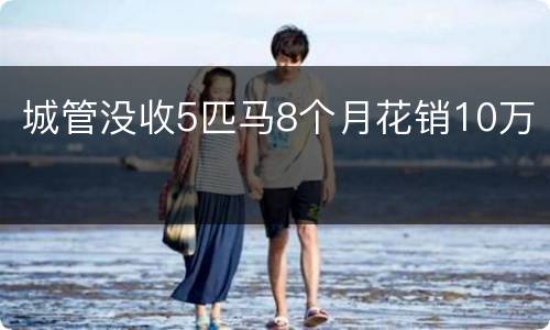 城管没收5匹马8个月花销10万