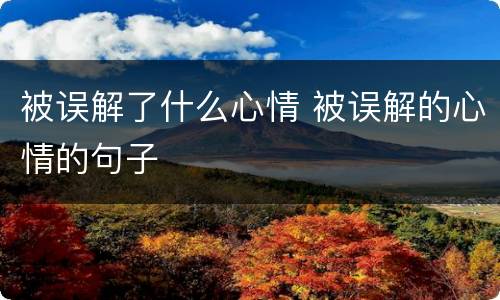 被误解了什么心情 被误解的心情的句子