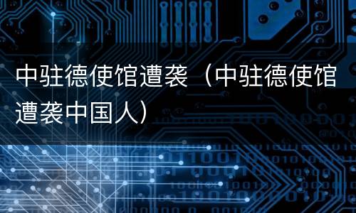 中驻德使馆遭袭（中驻德使馆遭袭中国人）