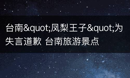 台南"凤梨王子"为失言道歉 台南旅游景点