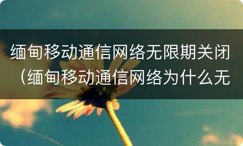缅甸移动通信网络无限期关闭（缅甸移动通信网络为什么无限期关闭）