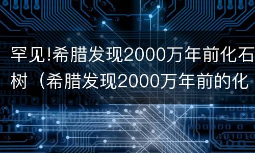罕见!希腊发现2000万年前化石树（希腊发现2000万年前的化石树）