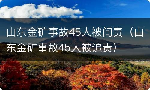 山东金矿事故45人被问责（山东金矿事故45人被追责）