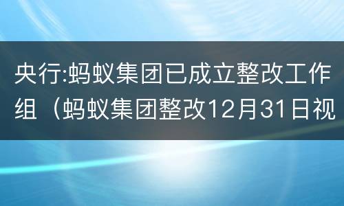 央行:蚂蚁集团已成立整改工作组（蚂蚁集团整改12月31日视频）