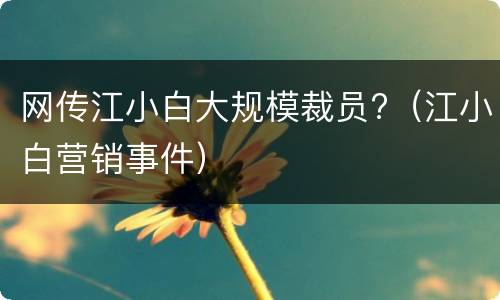 网传江小白大规模裁员?（江小白营销事件）
