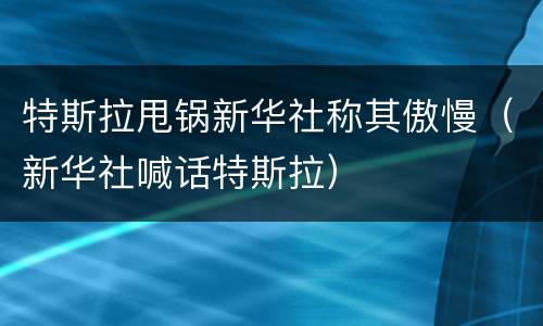 特斯拉甩锅新华社称其傲慢（新华社喊话特斯拉）