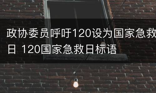政协委员呼吁120设为国家急救日 120国家急救日标语