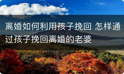 离婚如何利用孩子挽回 怎样通过孩子挽回离婚的老婆