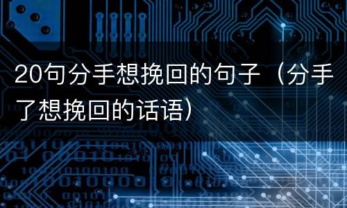 20句分手想挽回的句子（分手了想挽回的话语）