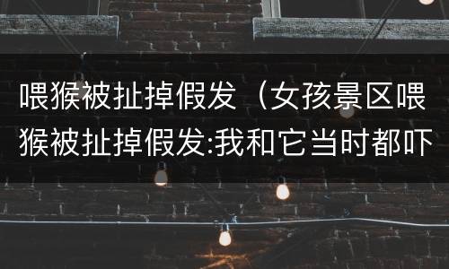 喂猴被扯掉假发（女孩景区喂猴被扯掉假发:我和它当时都吓了一跳）