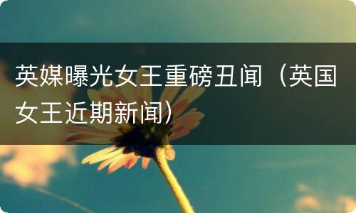 英媒曝光女王重磅丑闻（英国女王近期新闻）