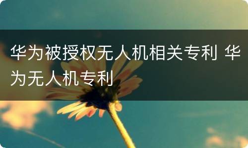 华为被授权无人机相关专利 华为无人机专利