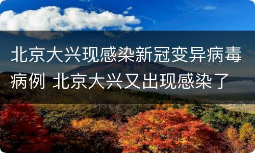 北京大兴现感染新冠变异病毒病例 北京大兴又出现感染了