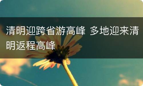 清明迎跨省游高峰 多地迎来清明返程高峰