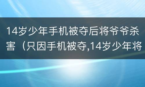 14岁少年手机被夺后将爷爷杀害（只因手机被夺,14岁少年将爷爷杀害）