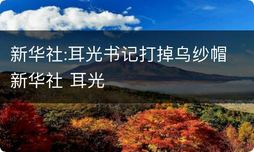 新华社:耳光书记打掉乌纱帽 新华社 耳光