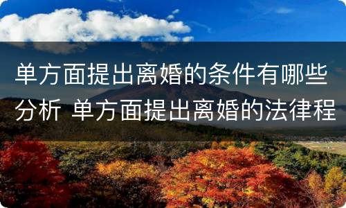单方面提出离婚的条件有哪些分析 单方面提出离婚的法律程序