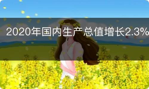 2020年国内生产总值增长2.3%